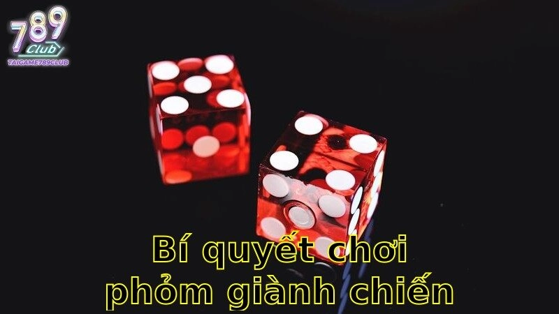 Bí Quyết Chơi Phỏm Giành Chiến Thắng – Bứt Phá Mọi Ván 2025