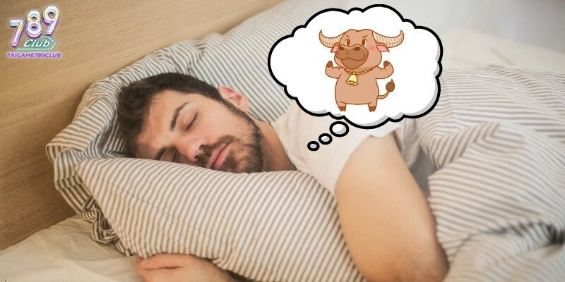 Nằm Mơ Thấy Trâu