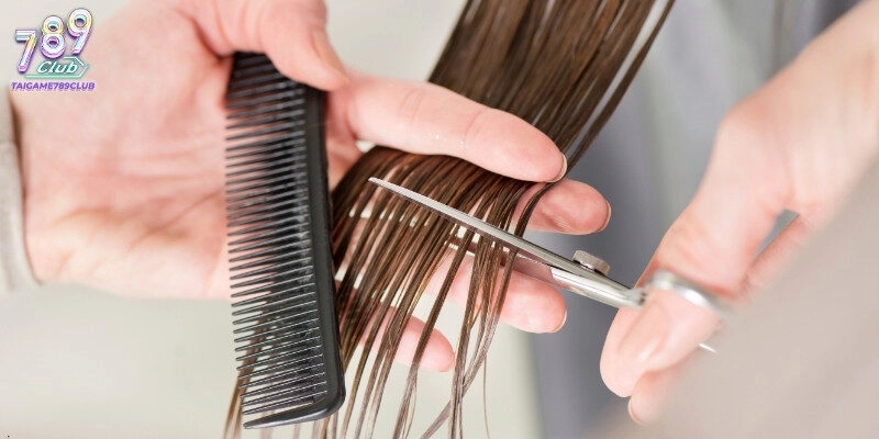 Mỗi tình huống trong mơ đều mang một con số may mắn riêng biệt