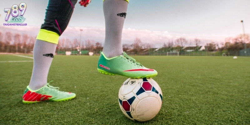 Thể thao 789club cung cấp đa dạng môn thể thao hấp dẫn