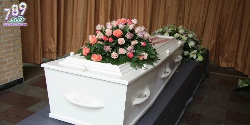 Chi tiết giấc mơ nằm mơ thấy quan tài cần được phân tích kỹ