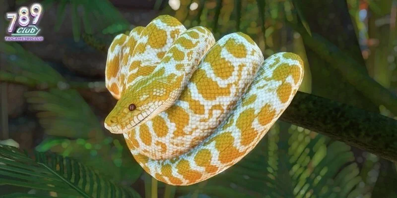 Tùy vùng miền mà nằm mơ thấy rắn đánh con gì có số khác nhau